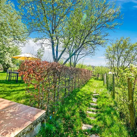 In Daverdisse Porcheresse (Belgium Luxembourg)